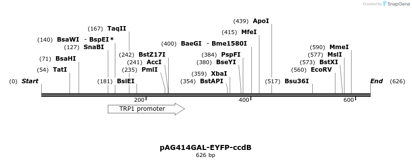 20903_map