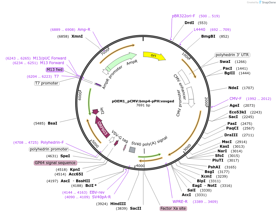 209030_map