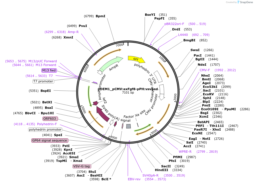 209032_map