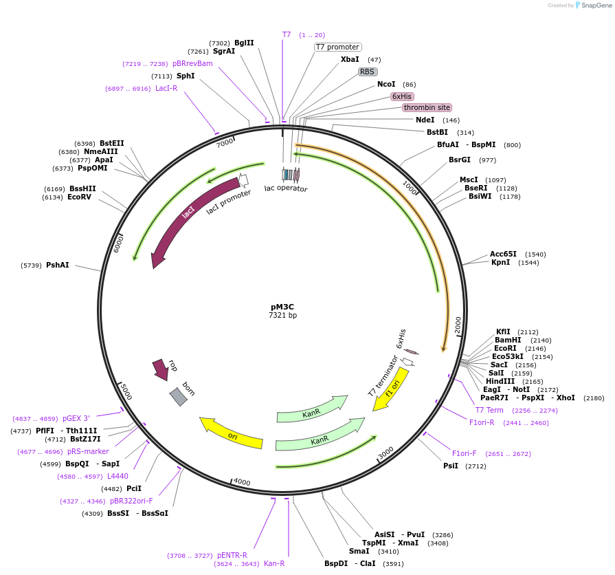 209049_map