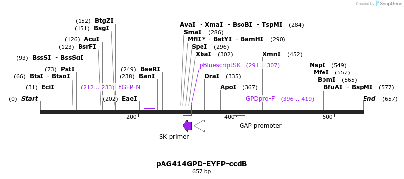 20905_map