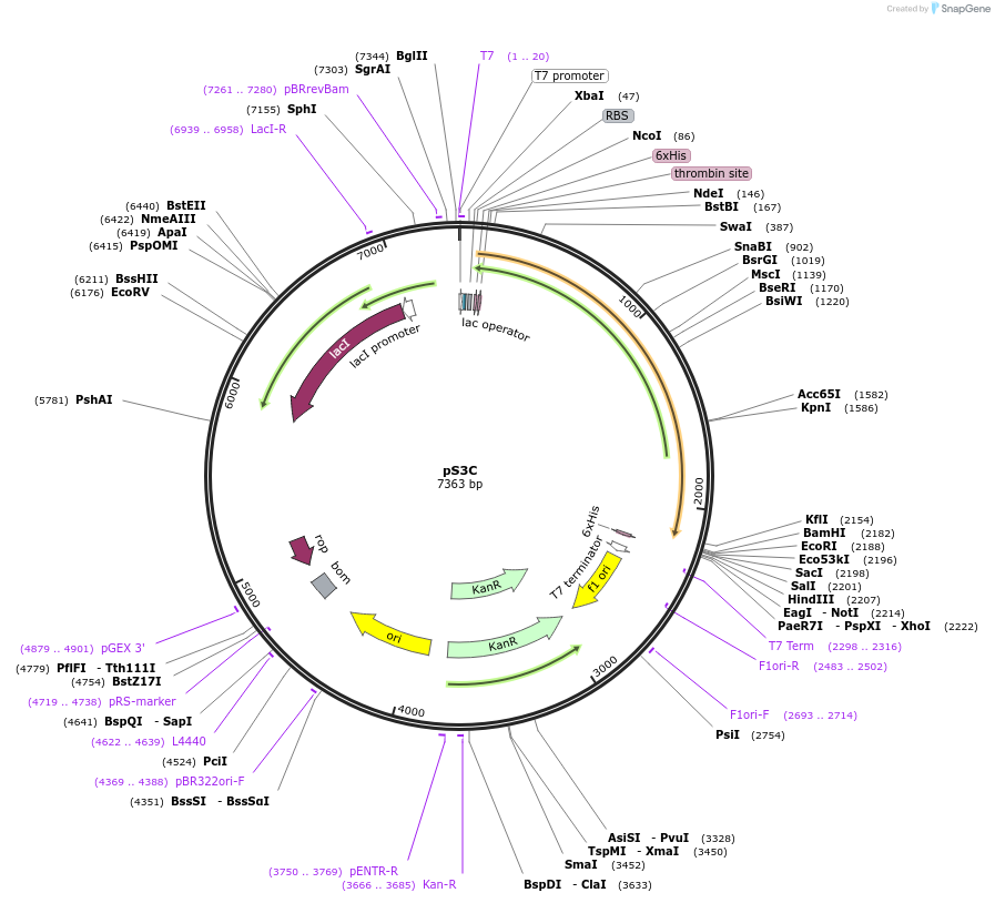 209050_map