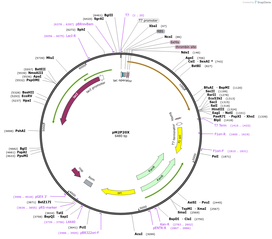 209051_map