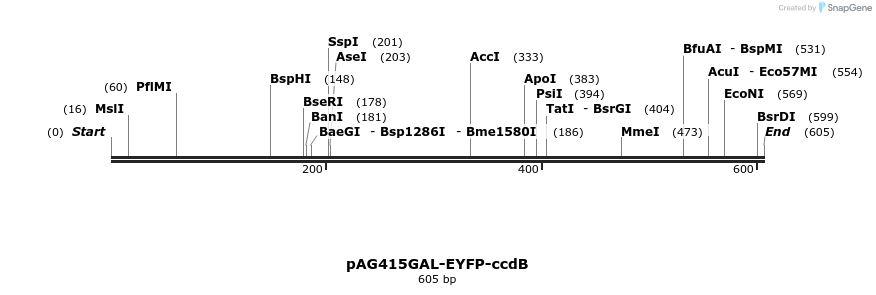 20906_map