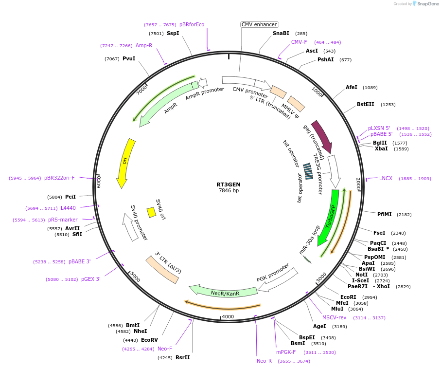 209061_map