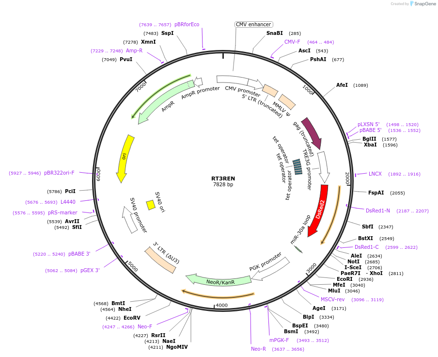 209062_map