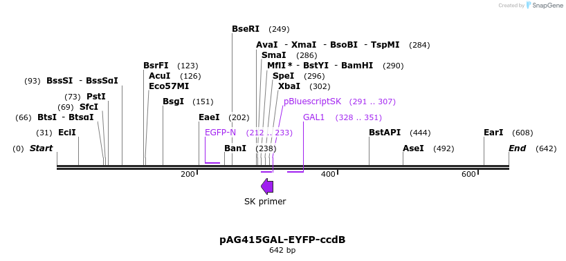 20907_map