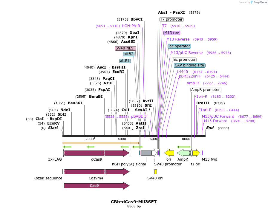 209076_map