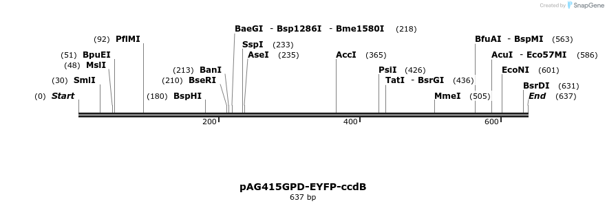 20908_map
