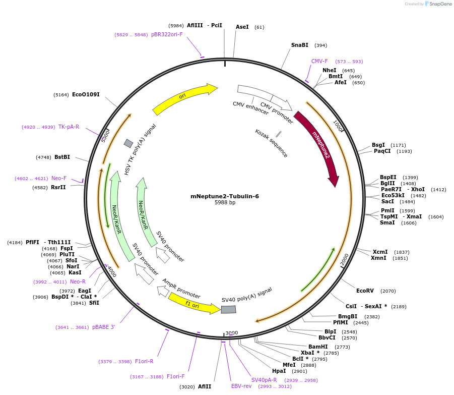 209084_map