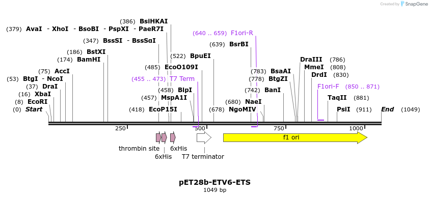 209092_map