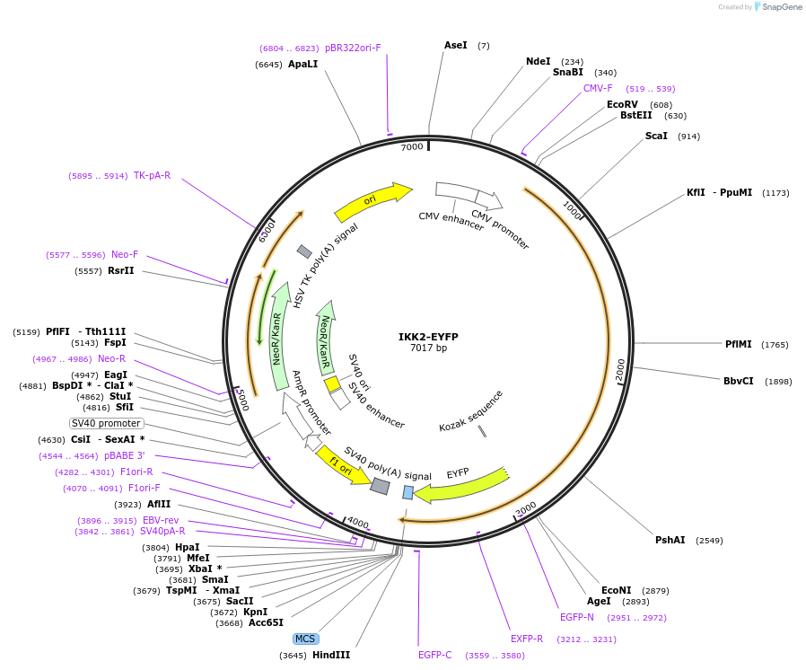 209101_map