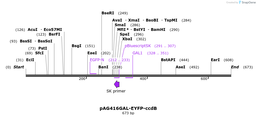 20911_map