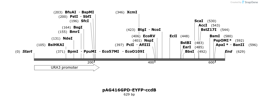 20912_map