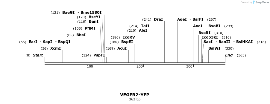 209147_map