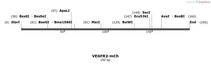 209149_map