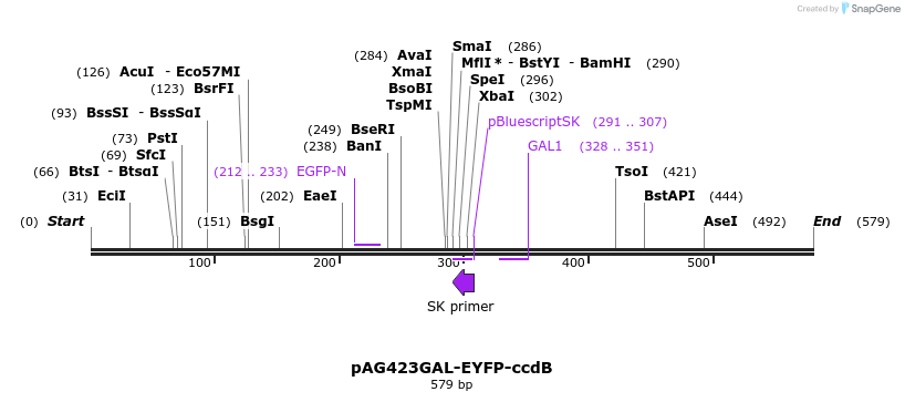 20915_map