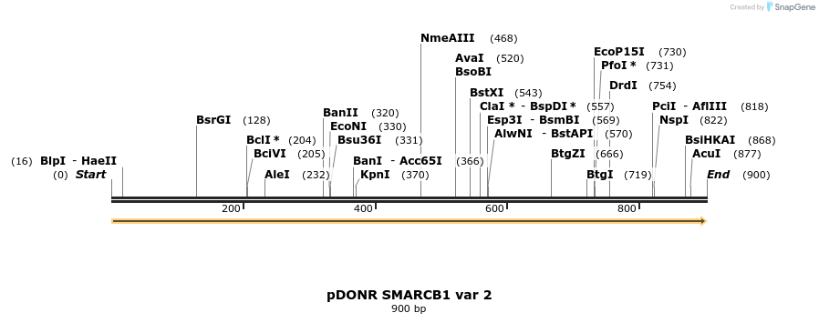 209153_map