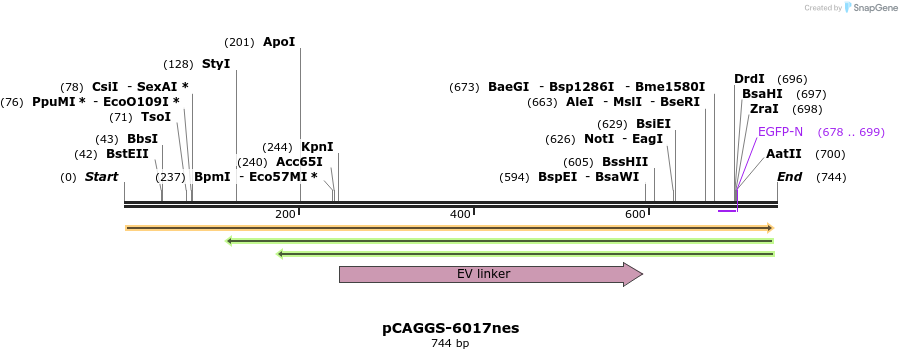 209160_map