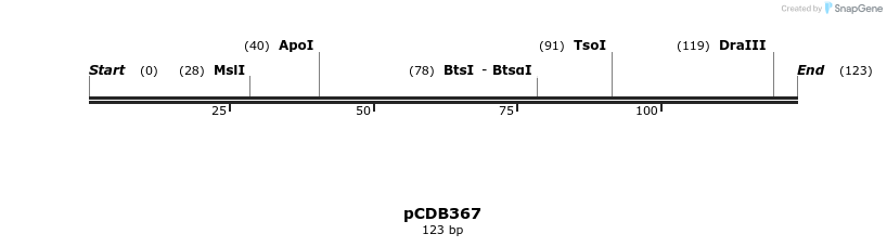 209167_map