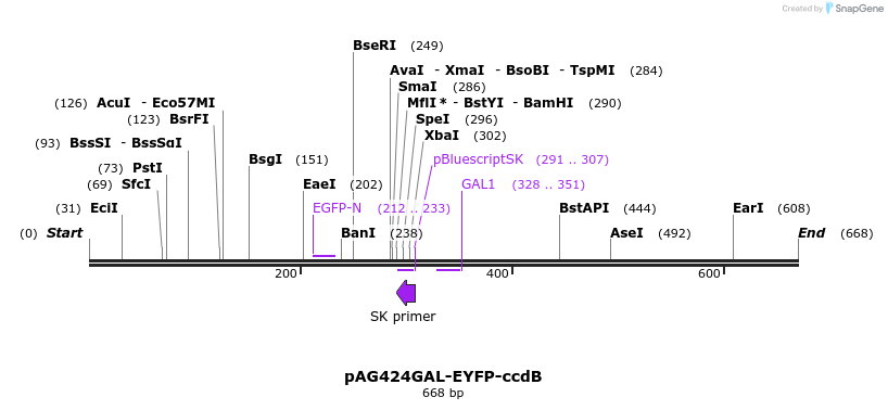 20919_map