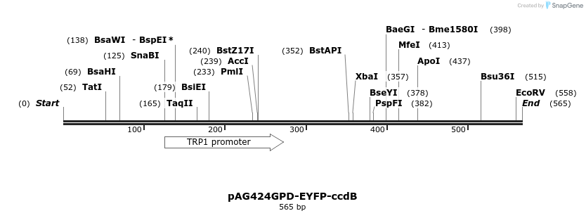 20920_map
