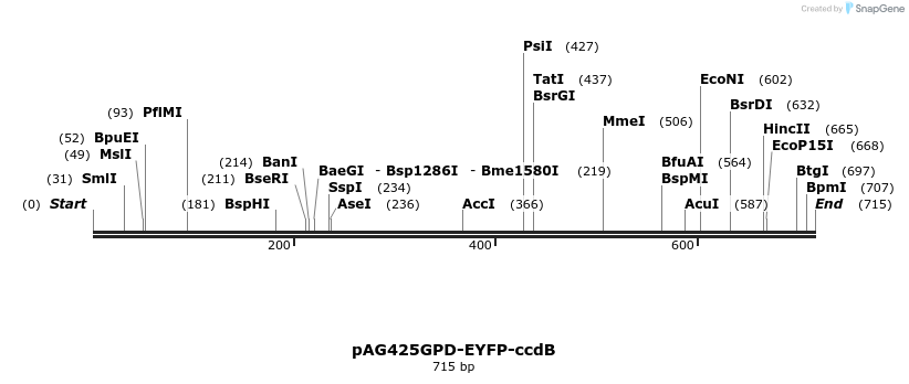 20924_map
