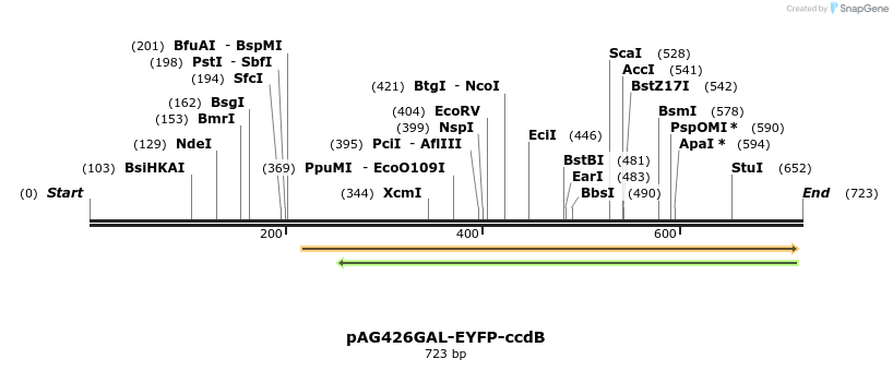 20926_map