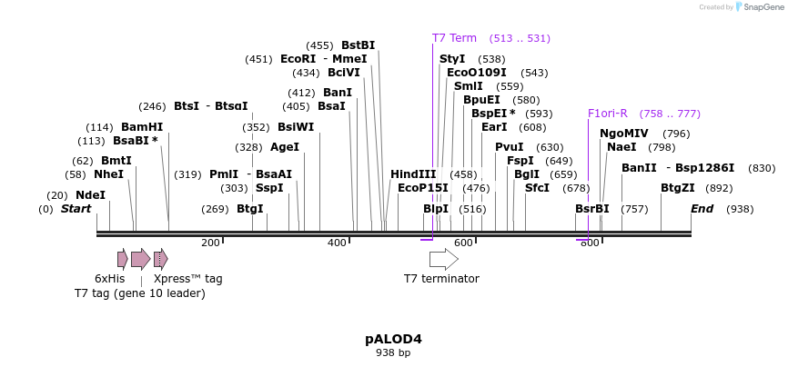 209265_map