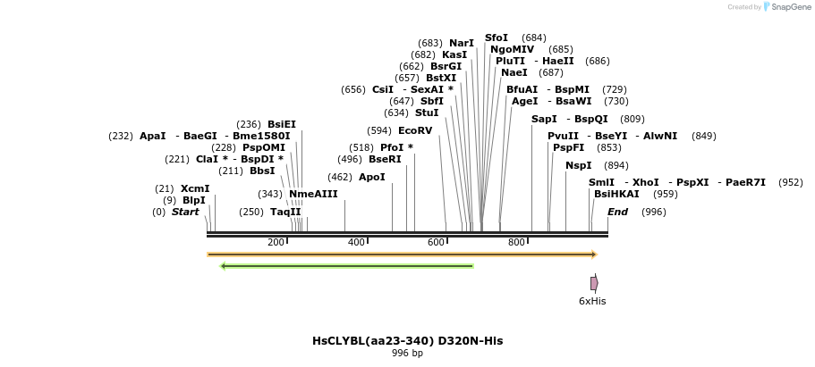 209278_map