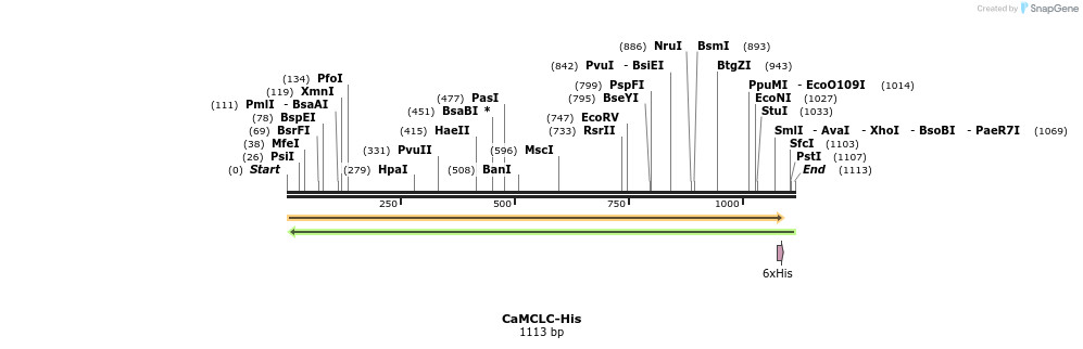 209281_map