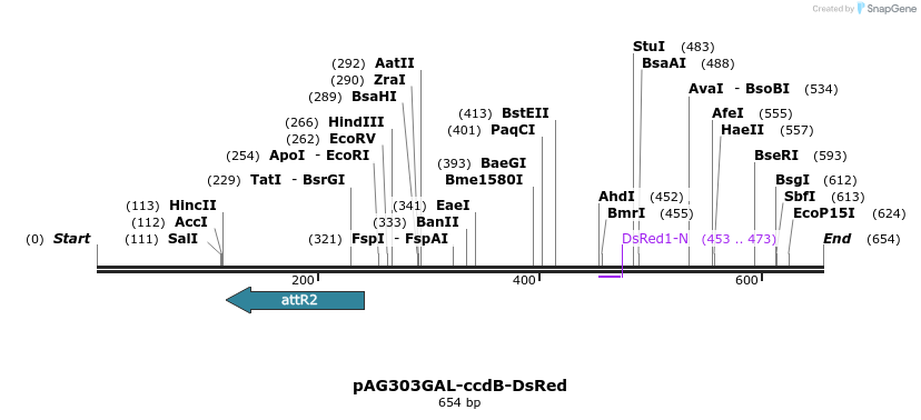 20932_map