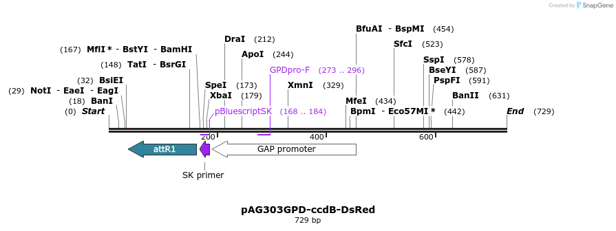 20934_map