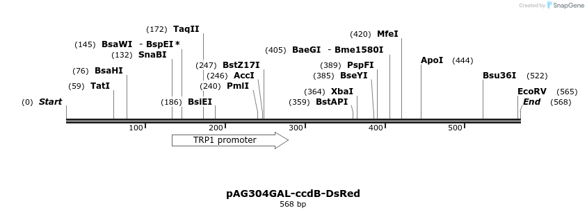20936_map