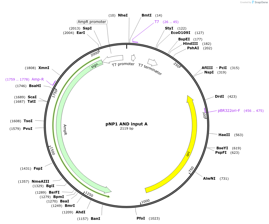 209401_map