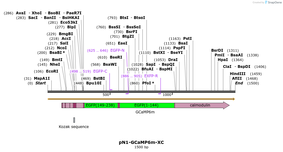 209412_map
