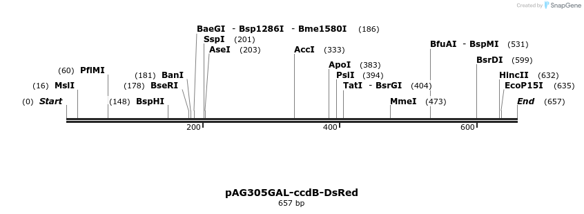 20942_map