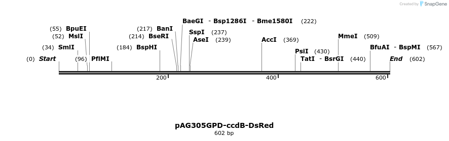 20945_map
