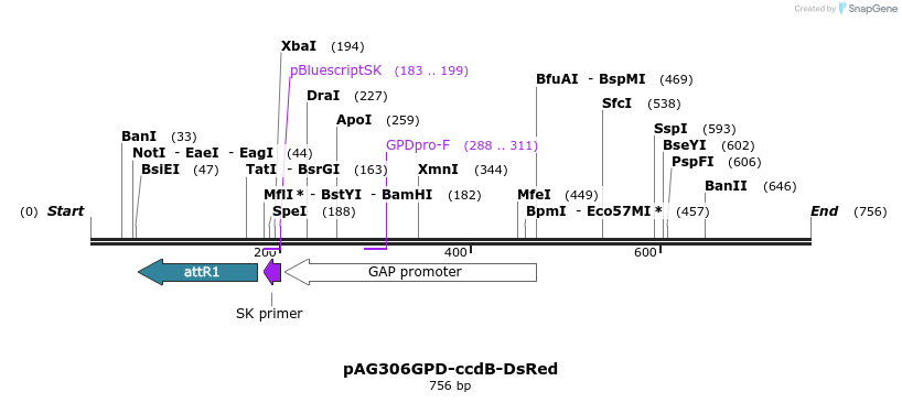 20951_map