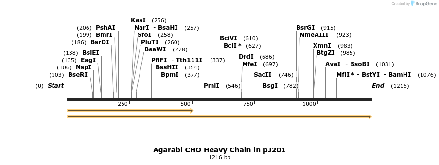 209560_map