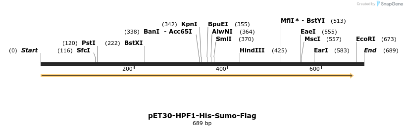 209587_map