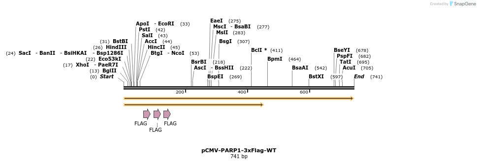 209594_map