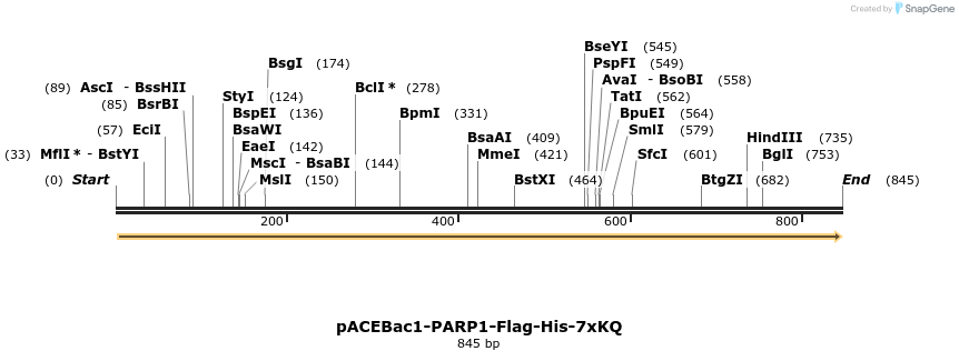 209599_map
