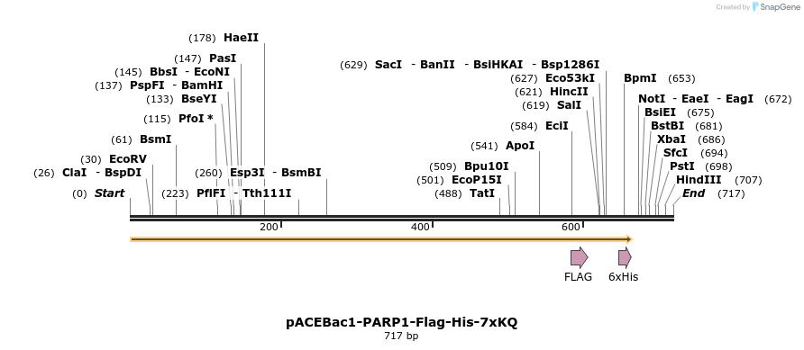 209600_map