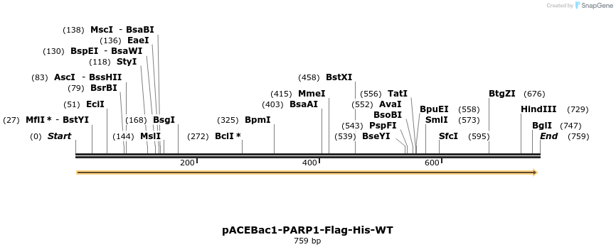 209602_map