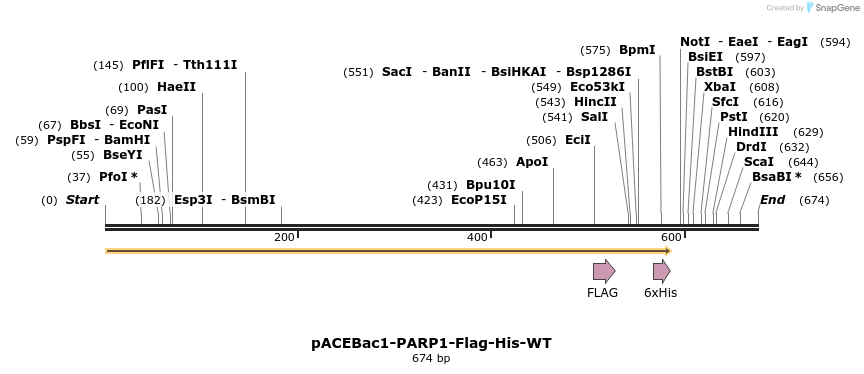209603_map