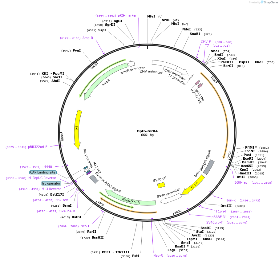 209608_map