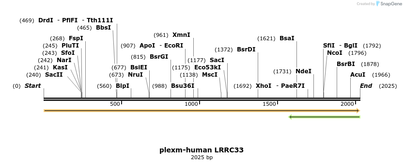 209657_map