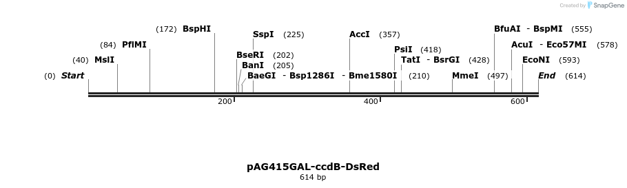 20966_map