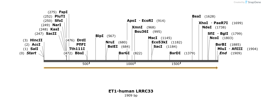 209671_map